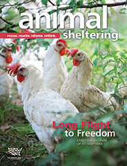 Animal Sheltering Magazine cover